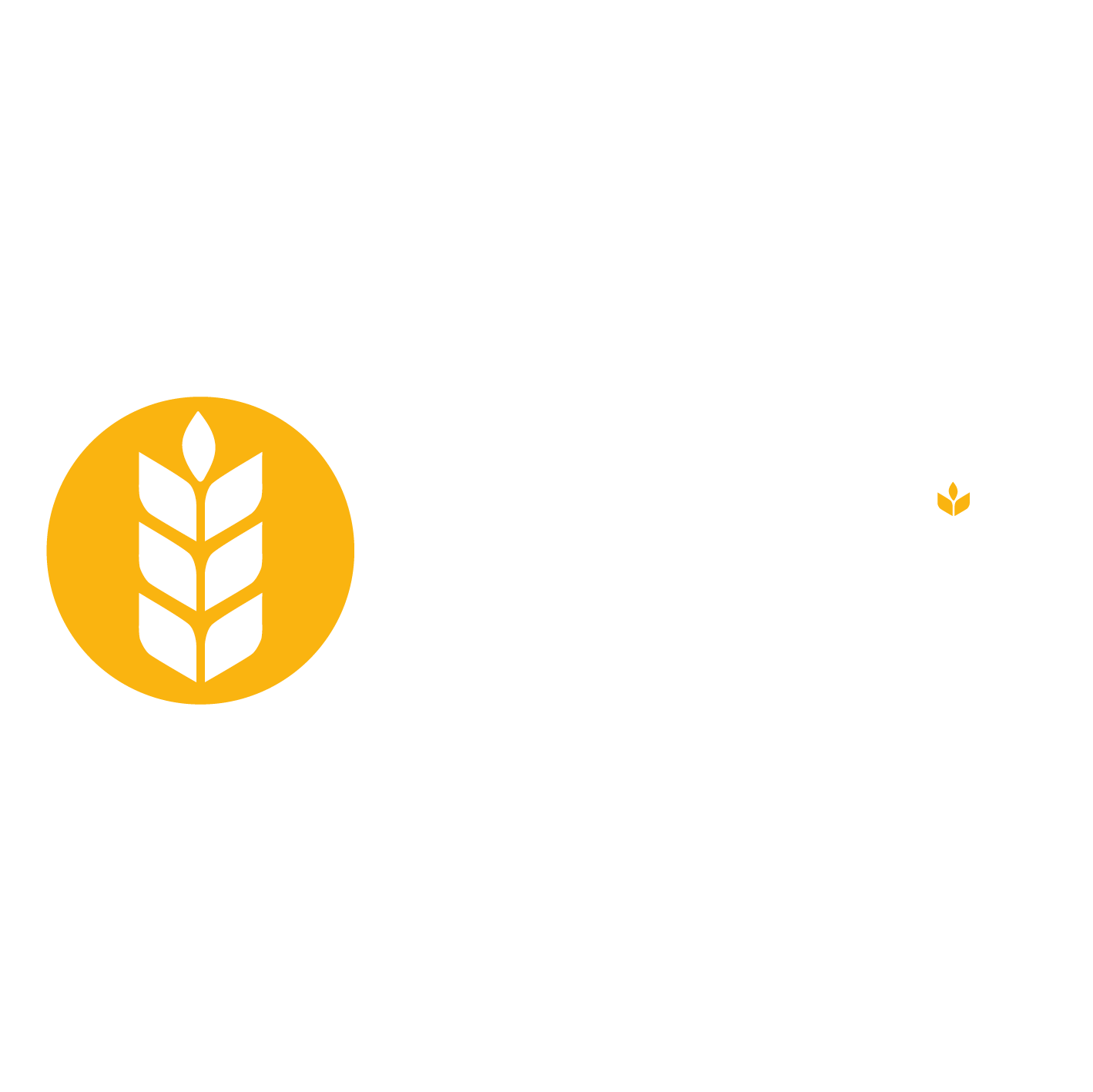 2022_maxgrain_logo_bez_tla-21